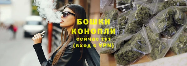 прущие грибы Белокуриха
