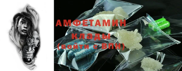 прущие грибы Белокуриха