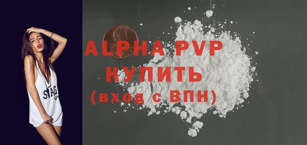 прущие грибы Белокуриха
