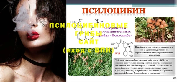 прущие грибы Белокуриха