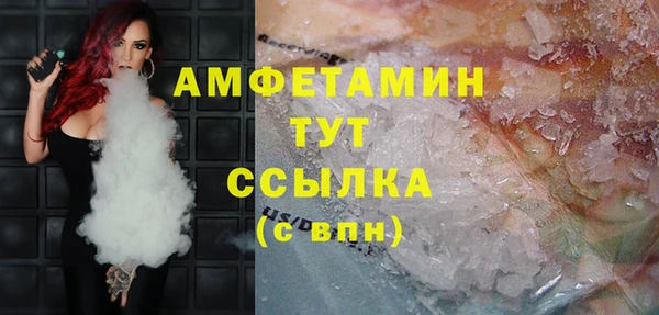 прущие грибы Белокуриха