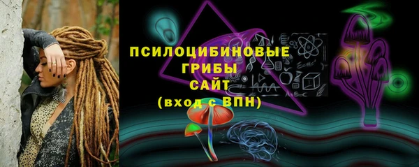 прущие грибы Белокуриха